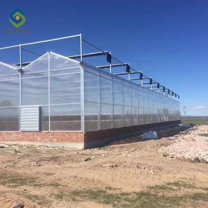 China 12m Multi Span Clear Polycarbonate PC Sheet Greenhouse wholesale