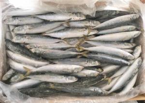 China 90g Frozen Fishing Bait wholesale