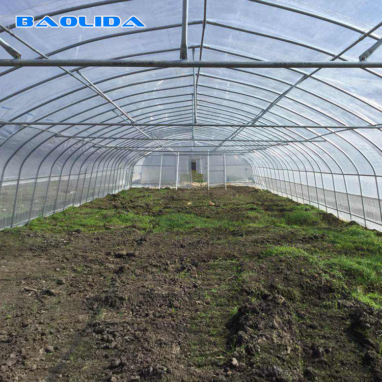 Sample Tunnel Plastic Greenhouse / Plastic Vegetable Single Span Greenhouse