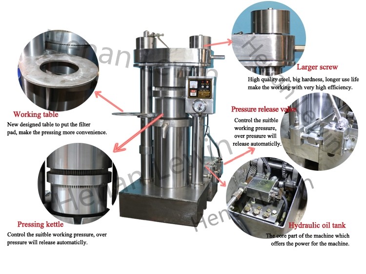 Avocado Cold Press Avocado Oil Expeller Hydraulic Oil Type Mill Machinery
