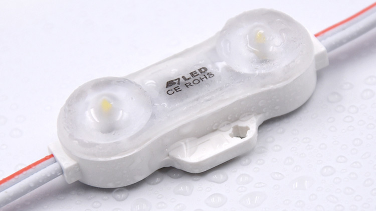 High Power 12v 2 LEDs LED Module Lights Outdoor SMD 2835