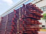 Power Plant Boiler Parts Customized Superheater And Reheater Heating Element