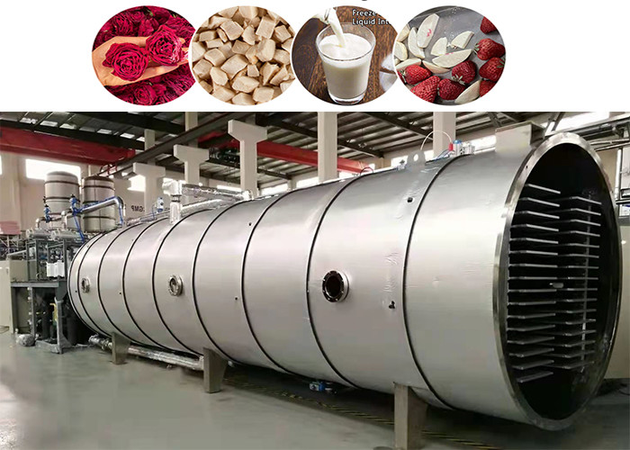 Large Food Freeze Machine Fruits Vegetables Meat