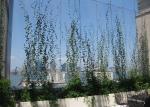 Outdoor Custom Decortaive 3.0mm Stainless Steel Rope Mesh Green Wall Cable
