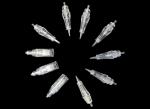 Disposable Microding Permanent Makeup Tattoo Machine Needle For Eyeblow Lips OEM