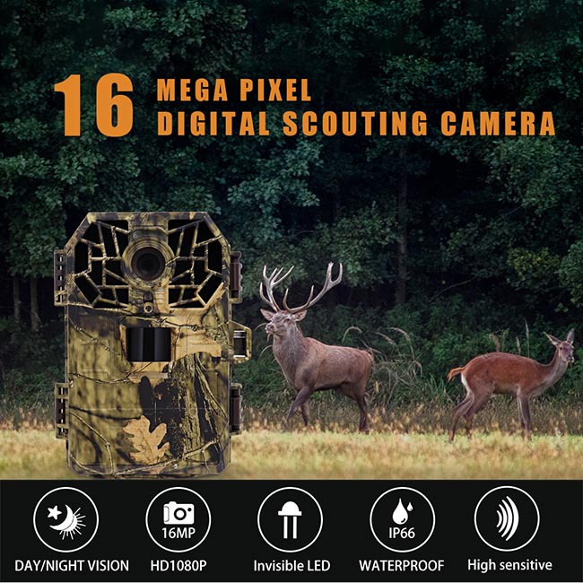 1080P+16MP 0.13mA Infrared Hunting Camera IP66 Waterproof