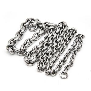 China Tarnish Free Unisex Stainless Steel Fitness Whip 18 Inches wholesale