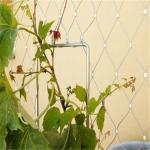 Plant Climbing Prop Stainless Steel Cable Webnet / Green Wall
