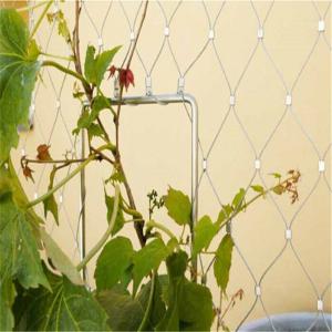 China Plant Climbing Prop Stainless Steel Cable Webnet / Green Wall wholesale
