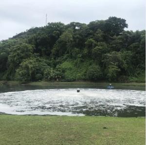 China TSR High Speed Surface Aerator For Wastewater Treatment wholesale