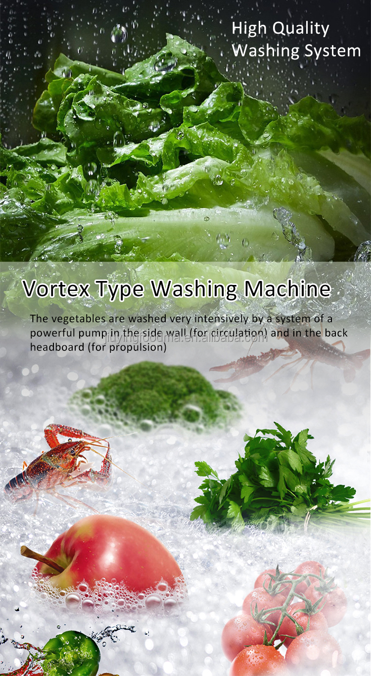 Jiuying 250L Single tank fruit and vegetable cleaning machine with full 304 stainless steel body