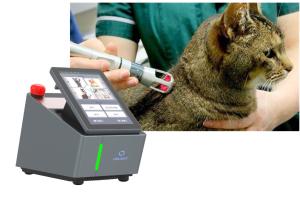 China 8W Pet Laser Therapy Machine For Acute Chronic Conditions wholesale