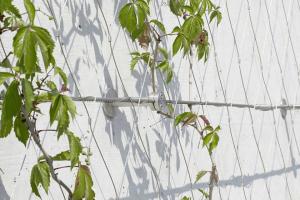 China High Strength X Tend Metal Wire Rope Mesh For Recyclable Green Facadings wholesale