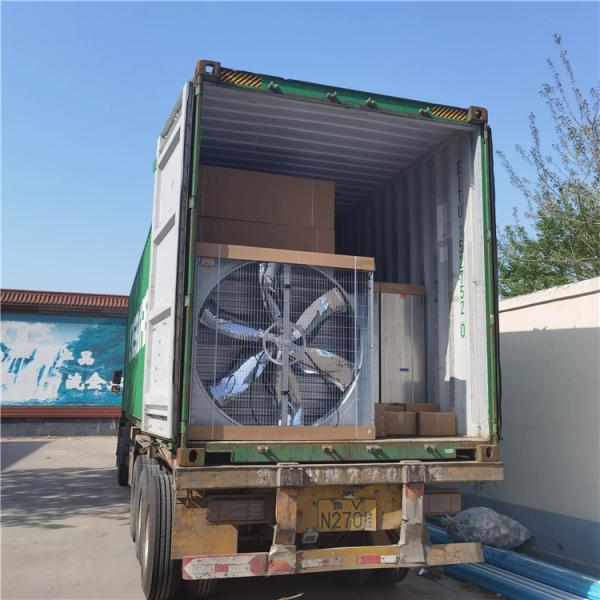 Hot Sales High Quality 54 Inch Exhaust Fan for Greenhouse or Poultry Farm or Pig House From China