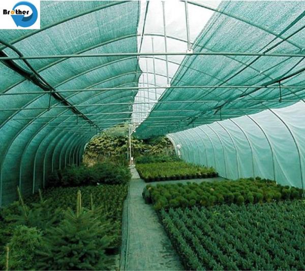 High Quality Different Color 100% HDPE Plastic Waterproof Greenhouse/Agriculture