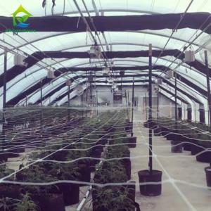 China 4.5-6.5m High Automated Light Dep Greenhouse Medical Flowerhouse Springhouse Greenhouse wholesale