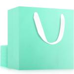 Custom Color Accepted Ribbon Handle Paper Bag for Luxury Clothing Boutique Gifts