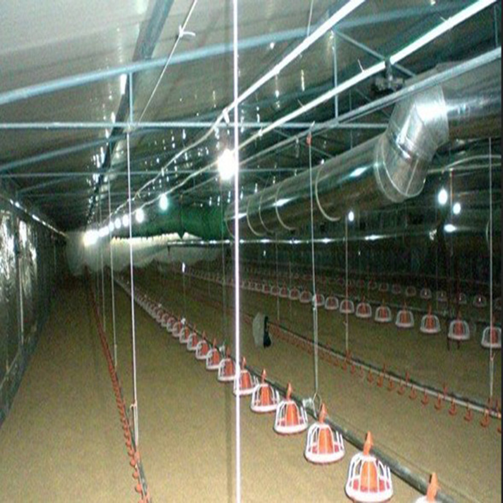 Galvanized Steel Frame Chicken House Bolts Connection Steel Structure Poultry Sheds