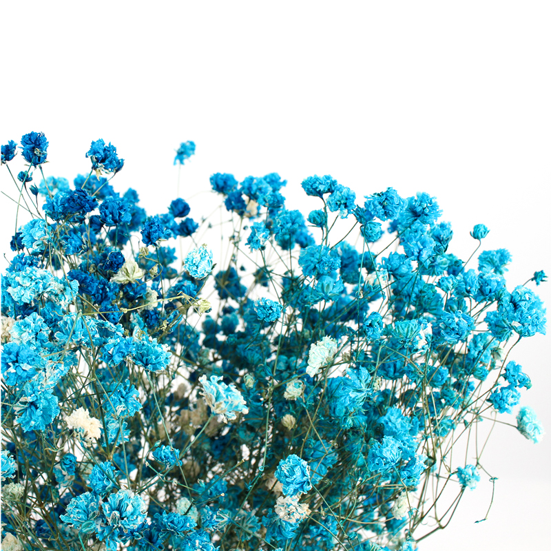 Indoor Decoration Preserved Babys Breath For Decorating Living Room