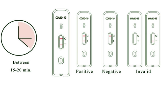 Green Spring COVID-19 Rapid Test Kit & Antigen Swab Test Kit 25 Tests/Kit