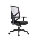 Swivel Mesh Office Chair Black PA Lower Back Ergonomic Chair Project Task Chairs