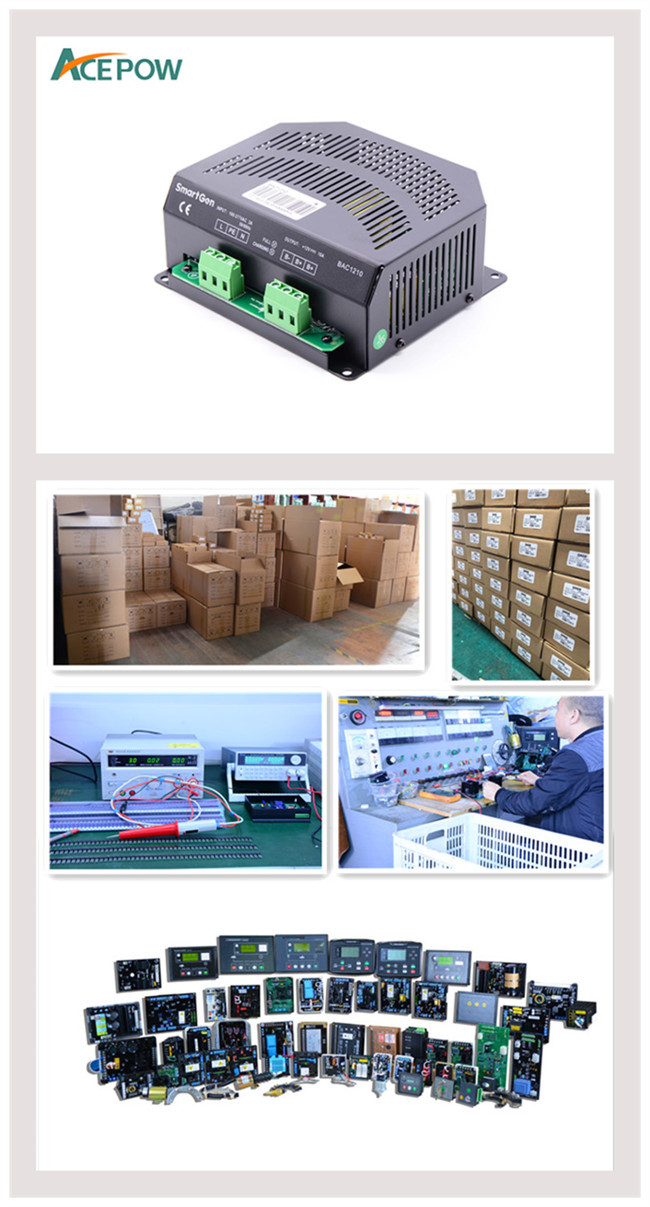 100Hz Diesel Generator Battery Charger