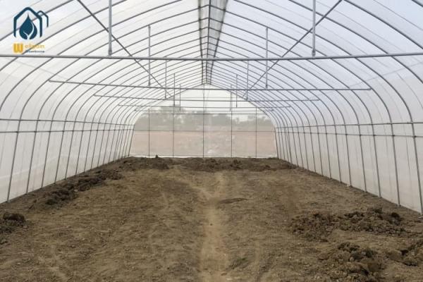 Commercial Agriculture High Tunnel Green Houses Single Span Metal Frame