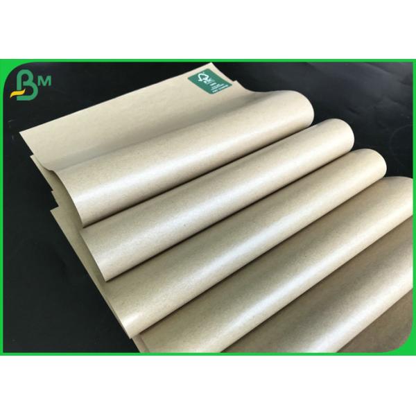 pe coated paper Greaseproof Food Grade Paper610mm 860mm 200gsm - 350gsm + 10g PE Coated Paper Roll