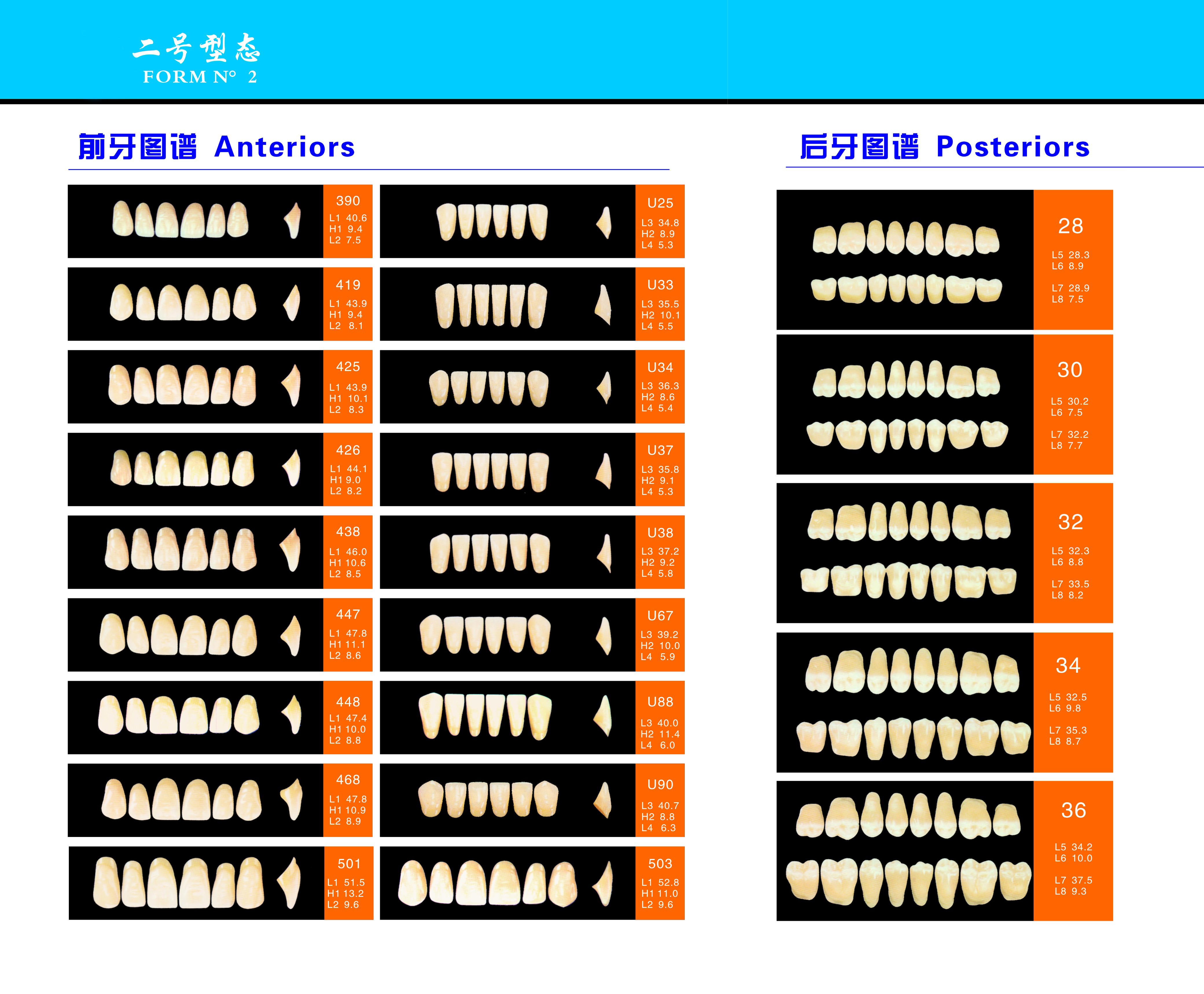 Acrylic Resin Denture Teeth Set Repair Surfaces 2 Layers Super Hard Synthetic Dental Teeth