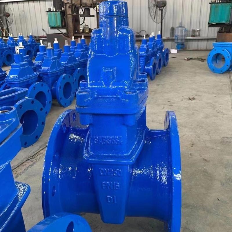 Ductile Iron SABS 664 Gate Valve Non Rising Stem PN16 Soft Sealing