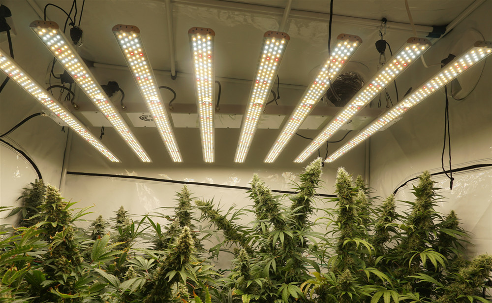 Supplementary 360 Watt Led Grow Light / Hanging Led Grow Lights For Herbs