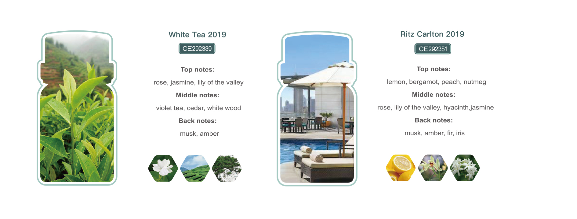 500ml Luxury Hotel Fragrance White Tea Ritz Carlton Park Hyatt Healton Venice Shangri-La Essential Oil for Scent Diffuser