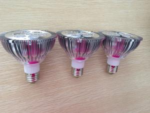 China 9W PAR30 led light wholesale