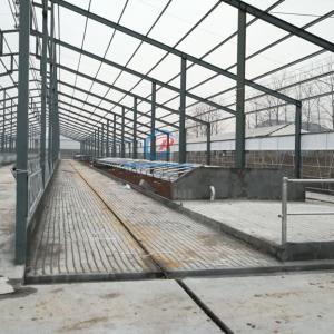 China Durable Erecting Steel Frame Building Customized Steel Frame Farm Buildings wholesale