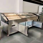 Corrosion Resistant Butcher Meat Freezer 220V Electric