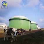 High Strength PVC Biogas Holder Balloon For Agricultural Waste Treatment