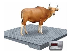 China 1.5*1.5m 3 Ton Industrial Floor Weighing Scales wholesale