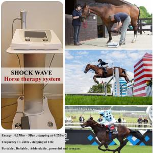 China Vet high energy shock wave therapy machine veterinary shockwave therapy machine for racehorse wholesale