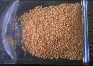 China 4*4mm Delicious Dark Brown Crispy Roasted Garlic wholesale