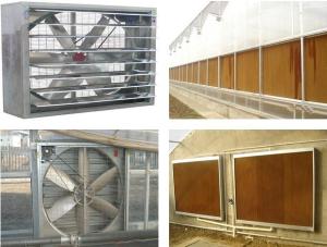 China Auburn University Poultry Ventilation &amp; Housing - NorthHusbandry Machinery wholesale