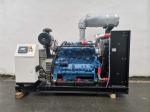 LPG 100kw Natural Gas Generator 625 Kva AC Synchronous Alternator