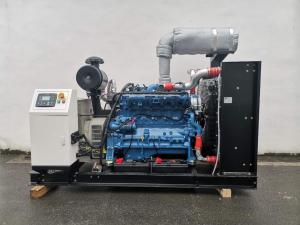 China LPG 100kw Natural Gas Generator 625 Kva AC Synchronous Alternator wholesale