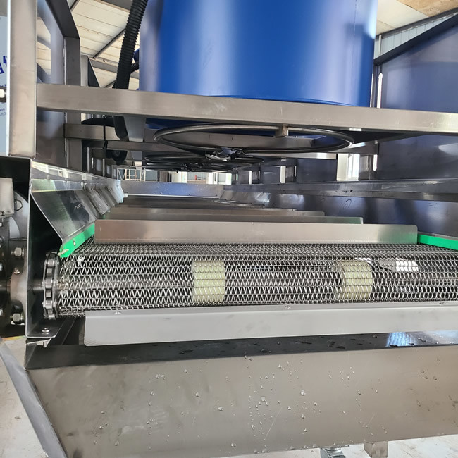 Adjustable 600kg/H Apricot Dry Fruits Processing Machine 500KG