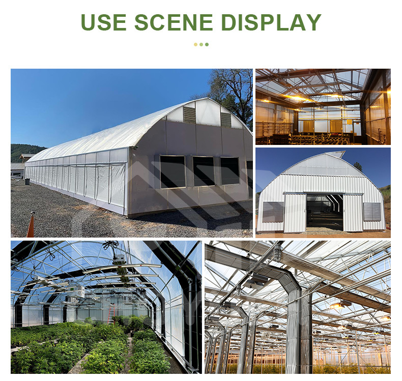 Hot Galvanized Steel Pipes Auto Light Deprivation Greenhouse With Blackout Curtain