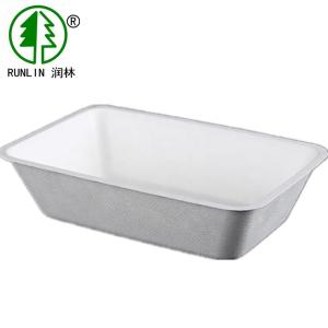 China Biodegradable Lunch Plant Fiber Sugarcane Rectangular Food Tray For Schools wholesale