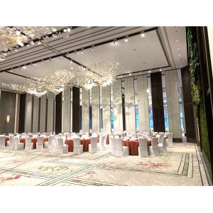 Versatile Doorfold Partition Wall Aesthetics For Privacy Space