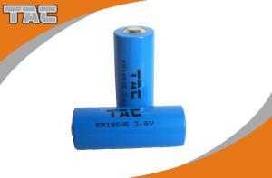 China Long cycle life LiSOCl2 Battery 3.6V 1900mAh for Computer RAM wholesale