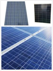 China Anodized Aluminum Polycrystalline Solar Module 350w Cells wholesale