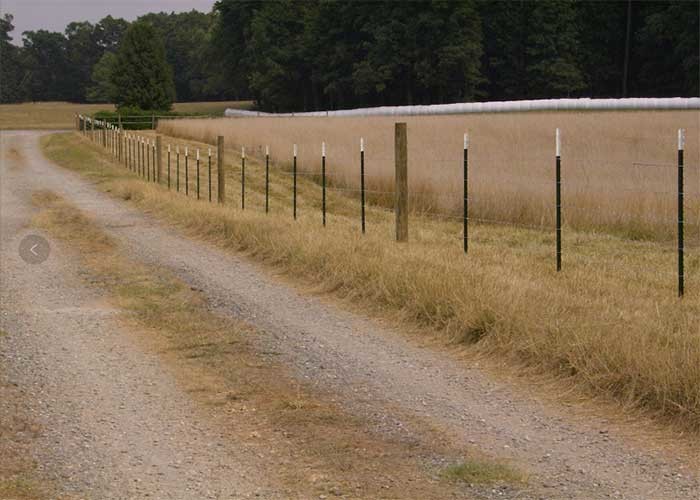 Height 2.4m Studded T Post 1.98kg/M Green Painted T Post