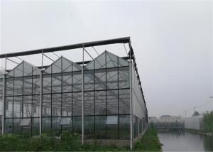 China Customized Agricultural Glass Greenhouse 3m - 6m Side Height Stable Structure wholesale